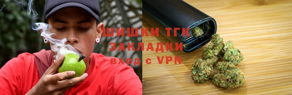 гашик Осташков