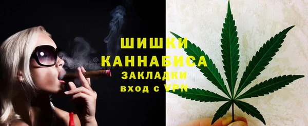 бошки Осинники