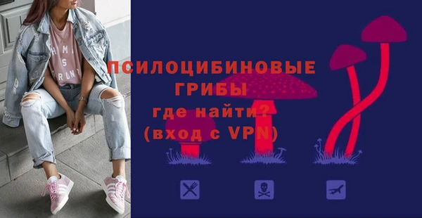 ГАЛЛЮЦИНОГЕННЫЕ ГРИБЫ Горняк