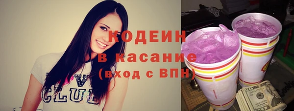 гашик Осташков