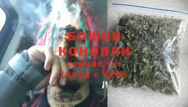 бошки Осинники