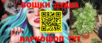 СК Волгодонск