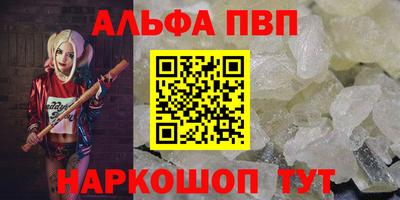 СК Волгодонск