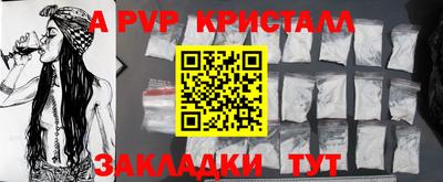 СК Волгодонск